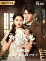 Too Late to Love (2025)